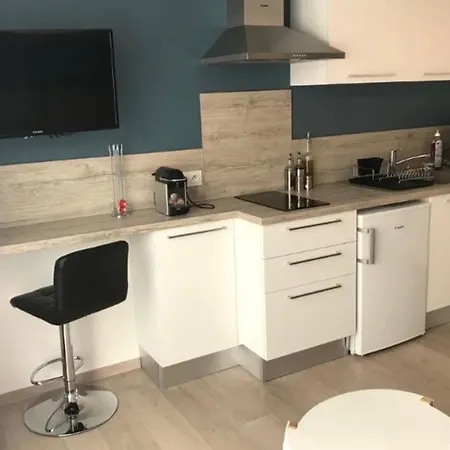 Voyages & Deplacements - 2 Appartement Moderne - Calme Et Chaleureux 公寓 图尔